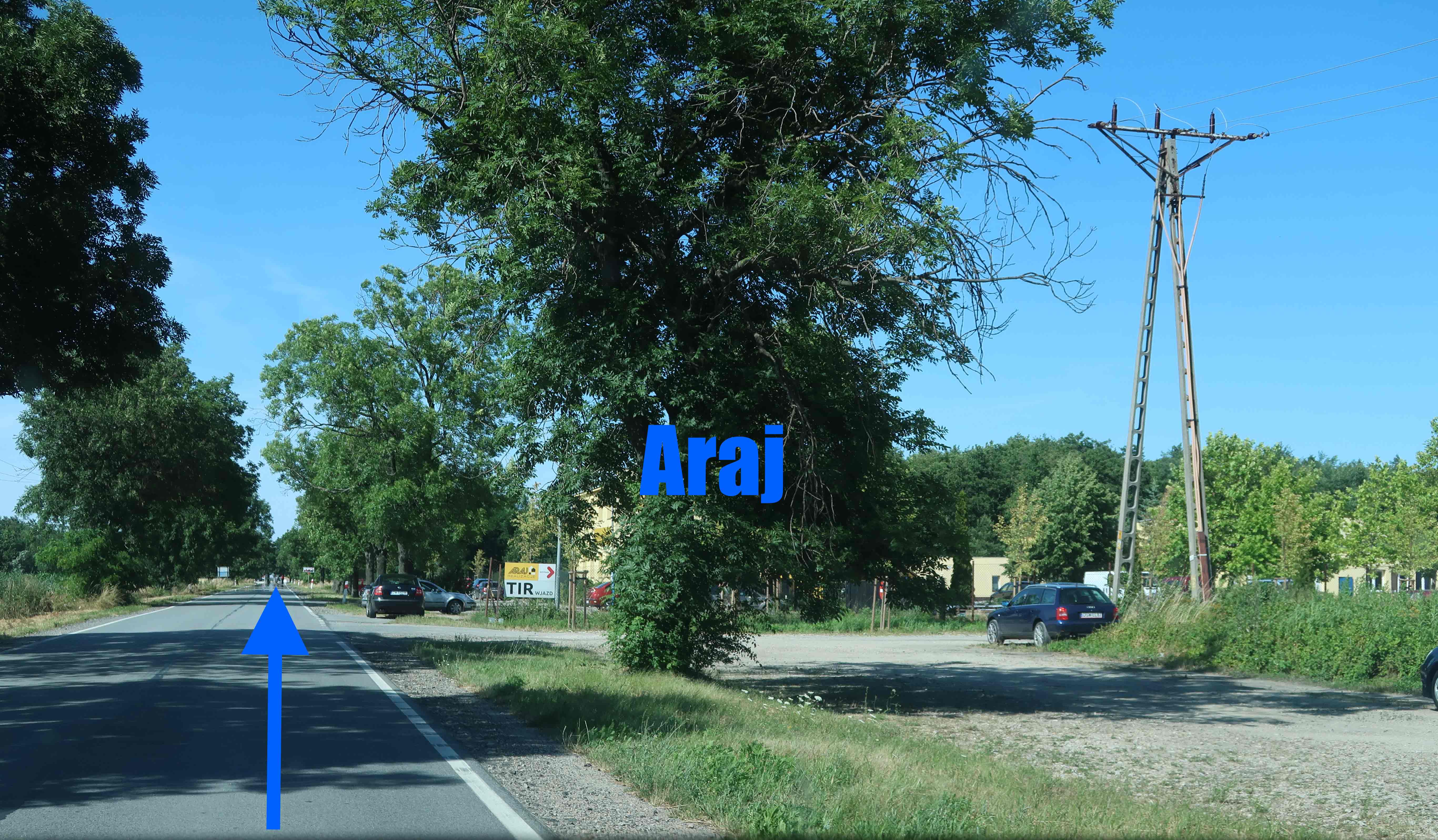 Dojazd maps